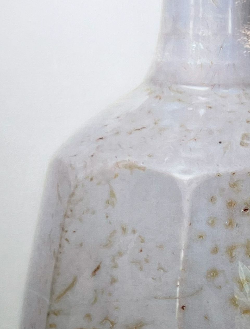 주병(Wine Bottle) 17-2