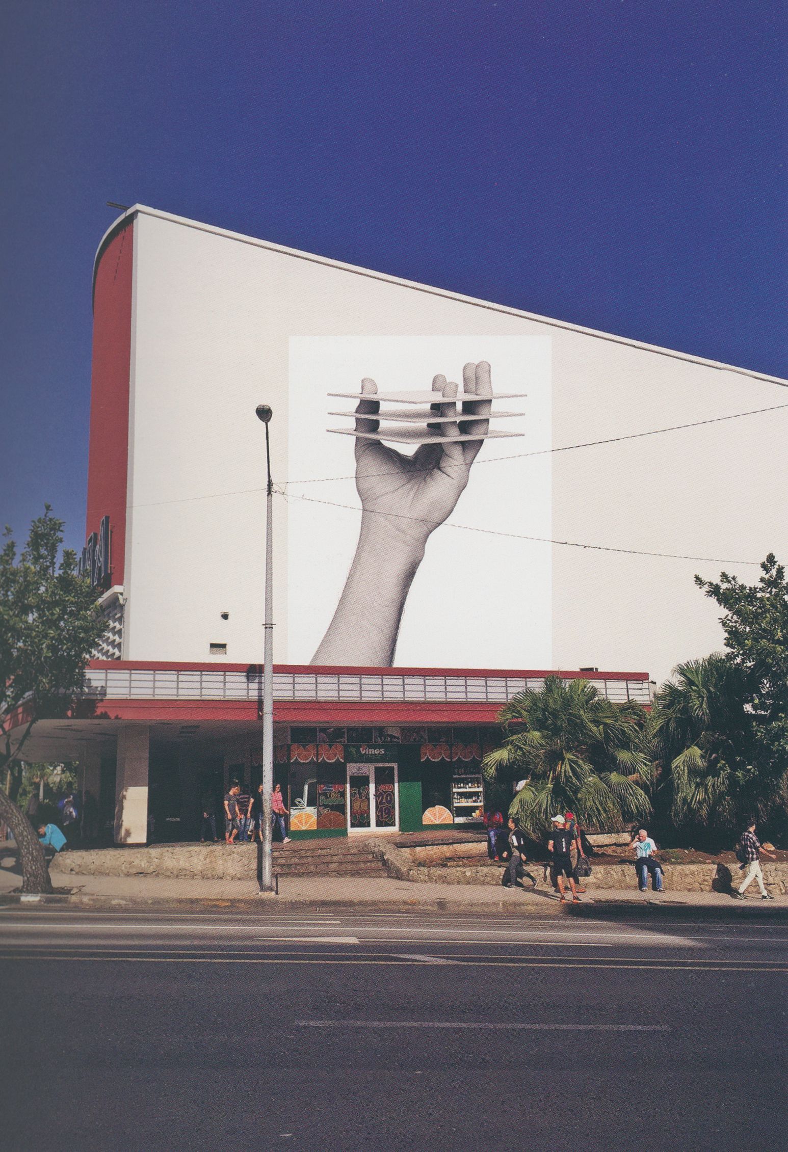 work image for Planta libre, del proyecto óptica miáptica