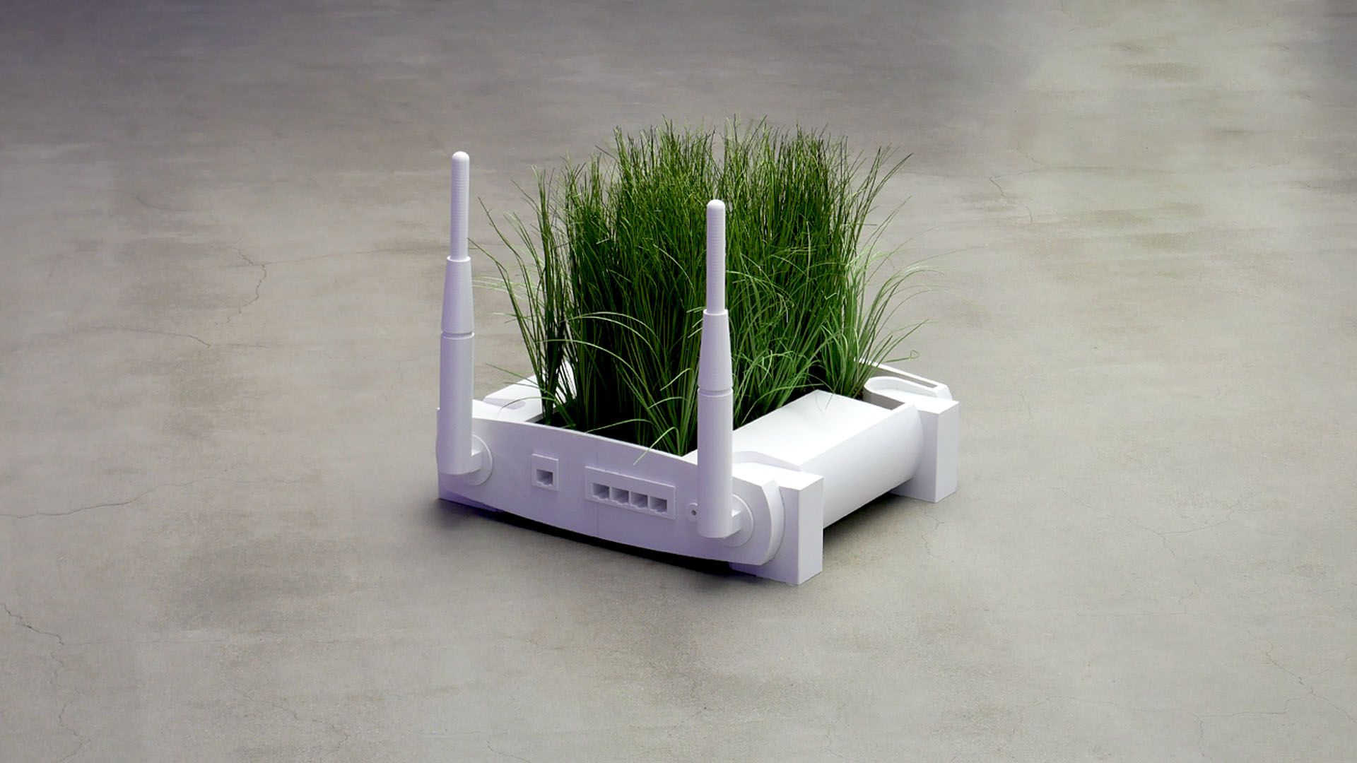 work image for Rooted Connection 1